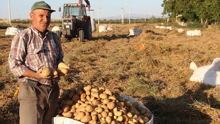 Beyşehir'de cipslik patates hasadı başladı