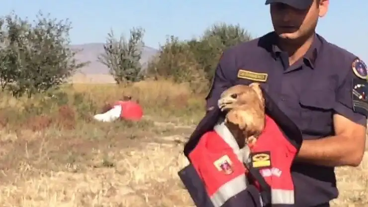 Jandarmadan yaralı kartala şefkat eli