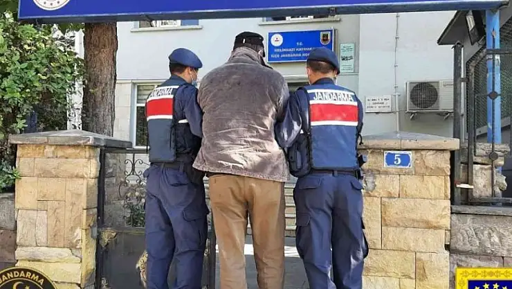 Bombacı terörist jandarma operasyonuyla yakalandı