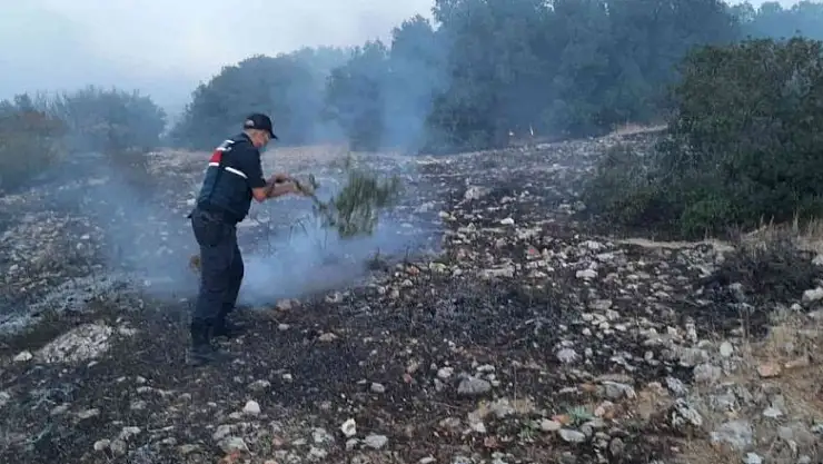 Korkutan orman yangını 5 saatte kontrol altına alındı