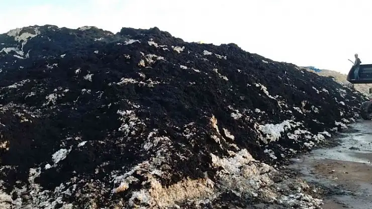 Pamuk fabrikasında yangın: 2,5 ton pamuk kül oldu