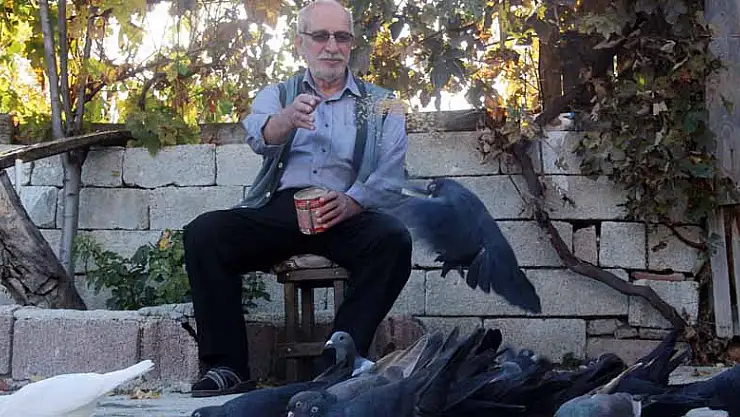 'Evladım' dediği güvercinlerine 50 yıldır bakıyor