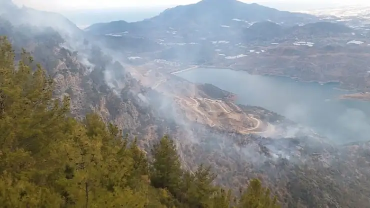 Anamur'da orman yangını
