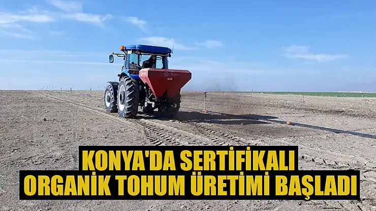 Konya'da sertifikalı organik tohum üretimi başladı