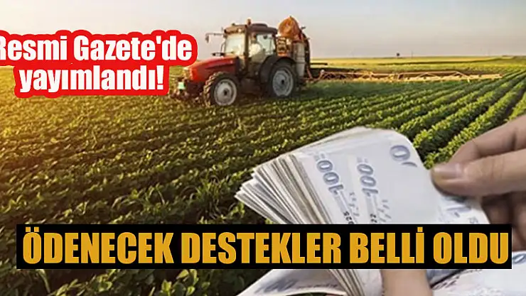 Resmi Gazete'de yayımlandı! Ödenecek destekler belli oldu
