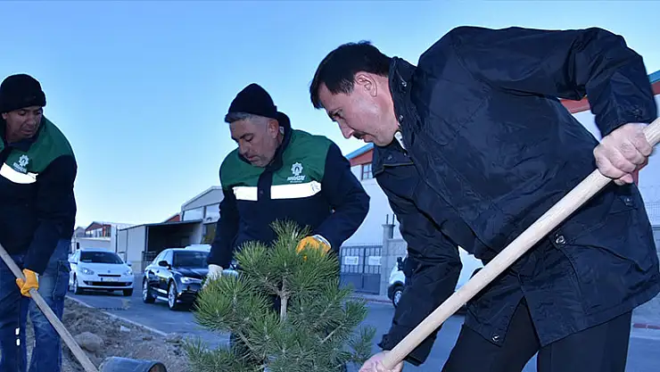 Başkan Hasan Kılca, Milli Ağaçlandırma Günü'nde fidan dikti