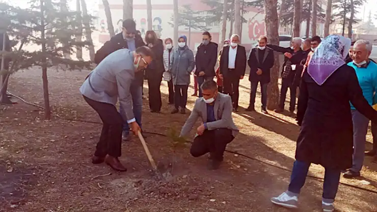 Ormanı Koruyan E-Twınnıng Projesi