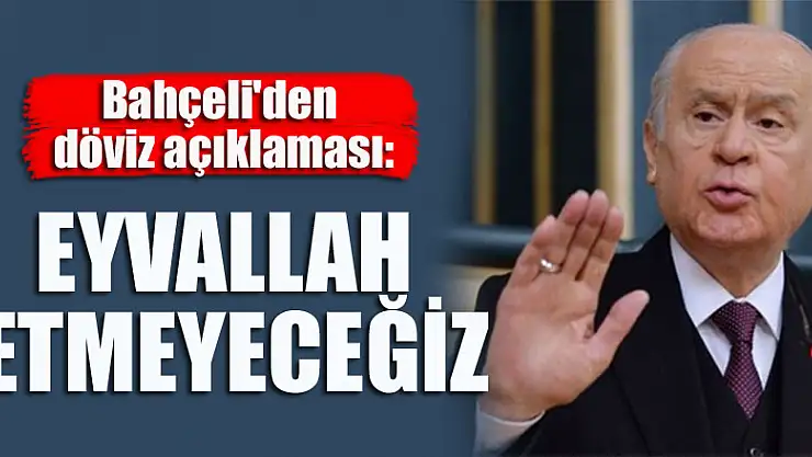 Bahçeli'den döviz açıklaması: Eyvallah etmeyeceğiz
