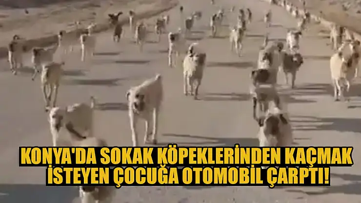 Konya'da sokak köpeklerinden kaçmak isterken otomobilin çarptığı çocuk yaralandı