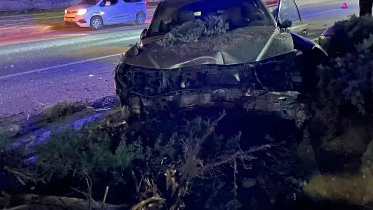 Köpeğe çarpmamak için direksiyonu kırdı, ağaca çarptı: 1 yaralı