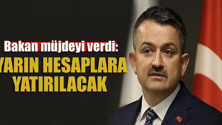 Bakan müjdeyi verdi: Yarın hesaplara yatırılacak