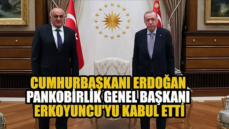Cumhurbaşkanı Erdoğan, PANKOBİRLİK Genel Başkanı Erkoyuncu'yu kabul etti