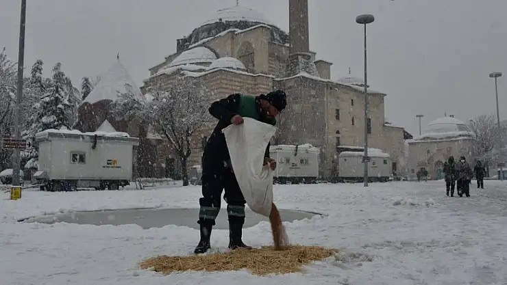 Karatay Belediyesi sokak hayvanlarını unutmadı