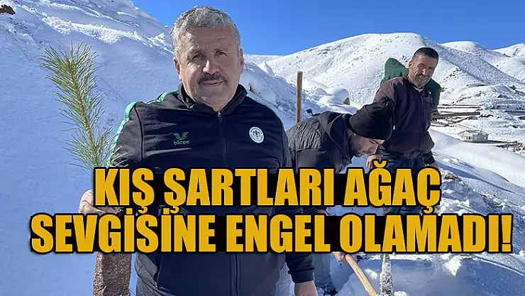 Konya'da kış şartları ağaç sevgisine engel olamadı