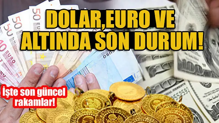 Dolar, Euro ve altında son durum! İşte son güncel rakamlar