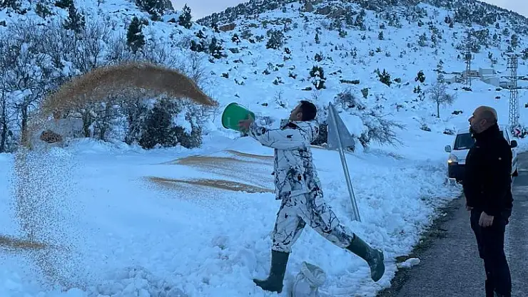 Seydişehir'de doğaseverler kuşlara yem bıraktı