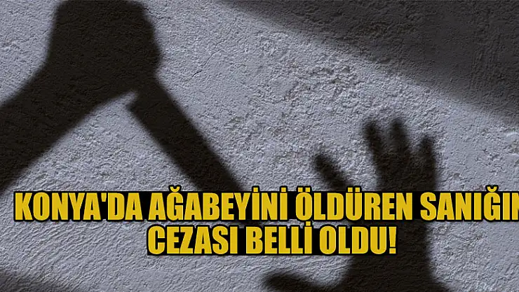 Konya'da ağabeyini öldüren sanığa müebbet hapis cezası!