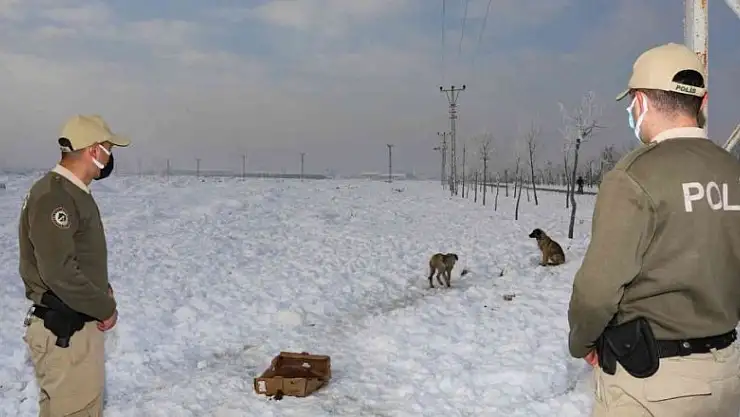 Konya'da hayvanları koruma polisleri, bin 45 ihbara cevap verdi