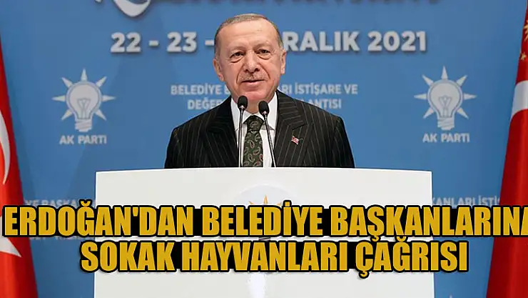 Cumhurbaşkanı Erdoğan'dan belediye başkanlarına sokak hayvanları çağrısı