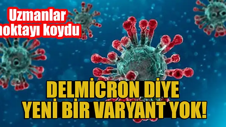 Delmicron diye yeni bir varyant yok! Uzmanlar noktayı koydu
