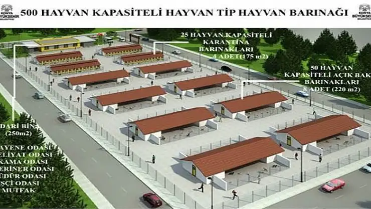 Seydişehir'e modern hayvan barınağı yapılıyor