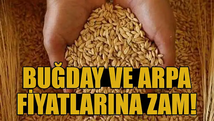 Buğday ve arpa fiyatlarına zam!