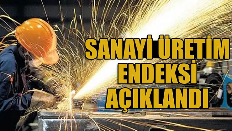 Sanayi üretim endeksi açıklandı