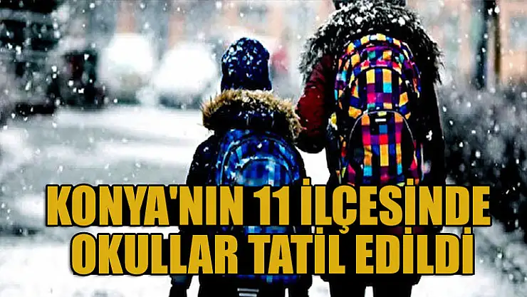 Konya'nın 11 ilçesinde okullar tatil edildi