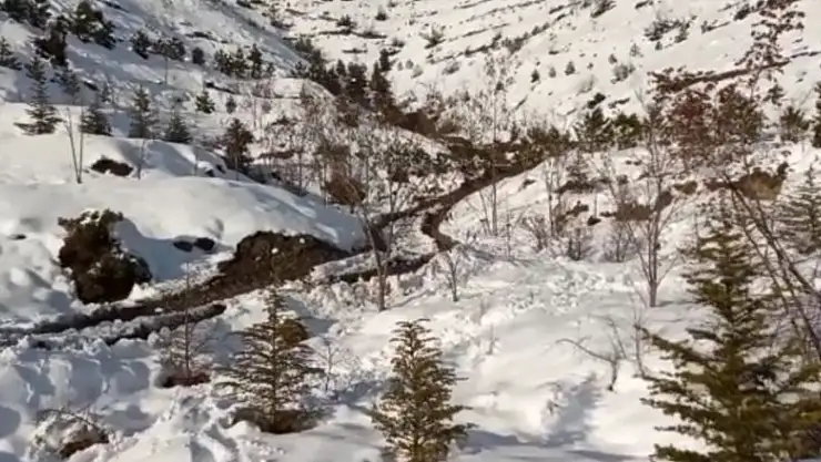 Boğarak öldürdüğü eşini boş araziye gömdü 3 yıl sonra teslim oldu