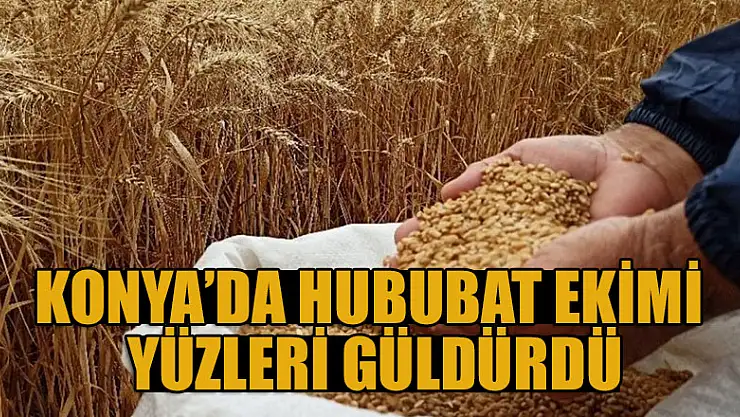Konya Tarım İl Müdürü açıkladı:  Hububat ekimi geçen yıla  göre yüzde 5 arttı