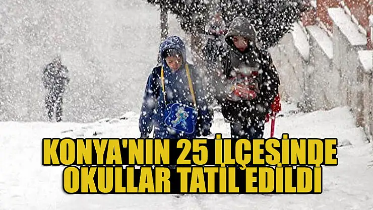 Konya'nın 25  ilçesinde kar nedeniyle yüz yüze eğitime ara verildi