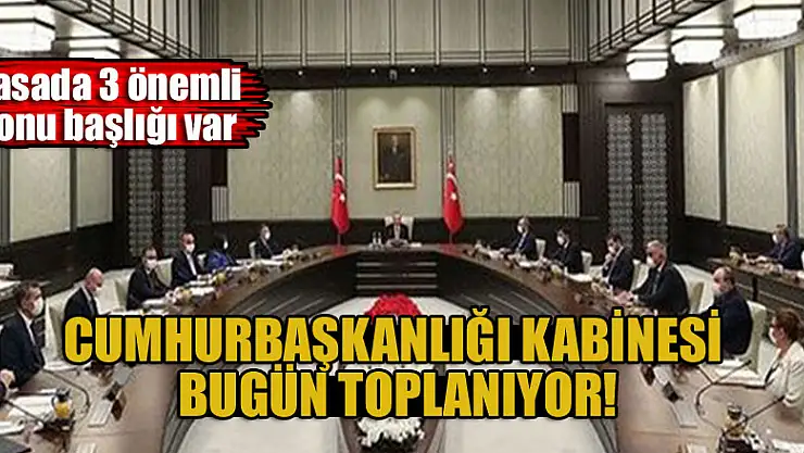 Cumhurbaşkanlığı Kabinesi bugün toplanıyor: Masada 3 önemli konu başlığı var
