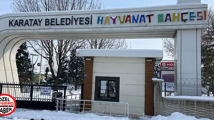 Hayvanat bahçesi sakinleri soğuktan korunuyor