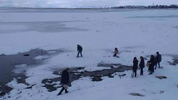 Beyşehir'de üniversite öğrencileri göl kıyısındaki su kuşlarını yemledi