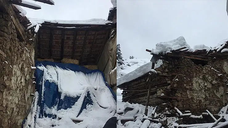 Konya'da besihanenin çökmesi sonucu iki hayvan telef oldu