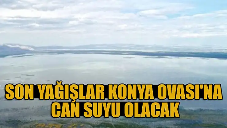 Son yağışlar Konya Ovası'na can suyu olacak