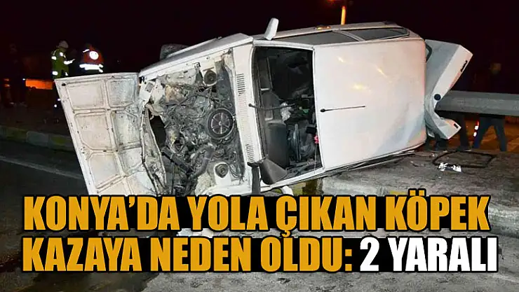 Konya'da yola çıkan köpek kazaya neden oldu: 2 yaralı