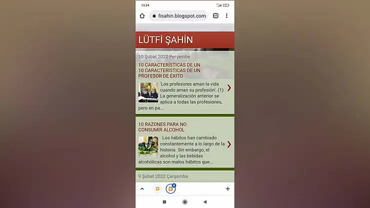 Şahin yabancı dillerdeki makalelerini yayımlamaya başladı