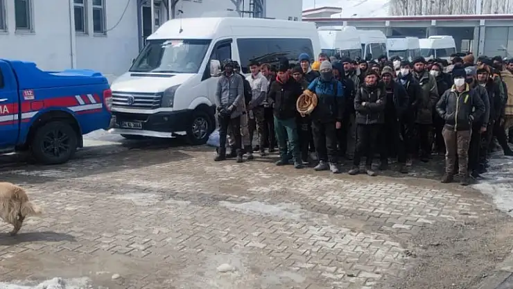 Van'da 78 düzensiz göçmen yakalandı