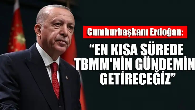 Cumhurbaşkanı Erdoğan: En kısa sürede TBMM'nin gündemine getireceğiz