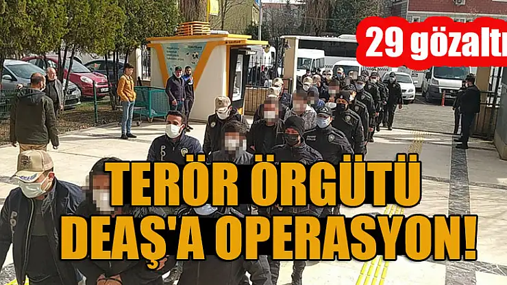 Terör örgütü DEAŞ'a operasyon: 29 gözaltı