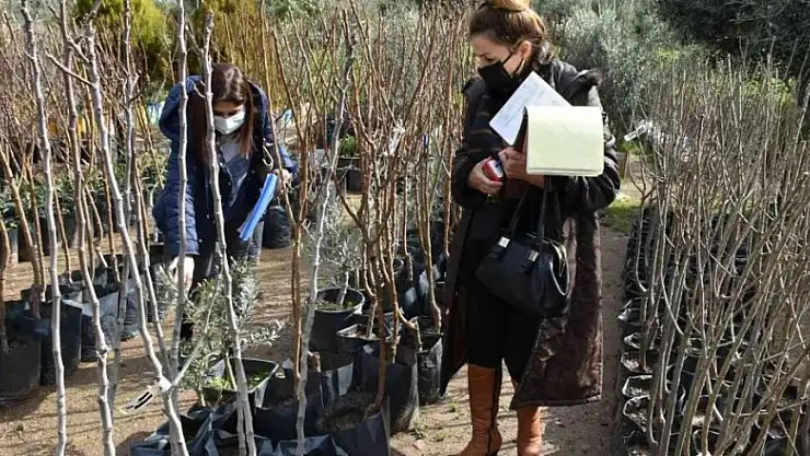 İzinsiz fidan satışına 54 bin TL ceza uygulanacak