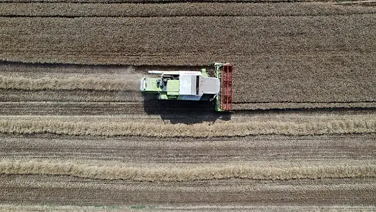 Sertifikalı tohum desteğinin artırılmasının 6 üründe rekolteye olumlu yansıması bekleniyor