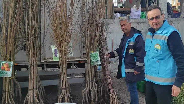 Altıntaş'ta fidan satışı kontrol ve denetimleri