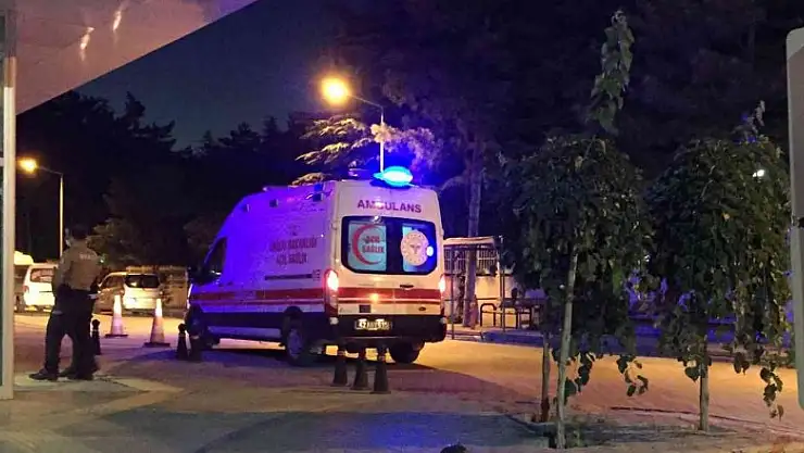 Otomobilin çarptığı at telef oldu, üzerindeki binici yaralandı