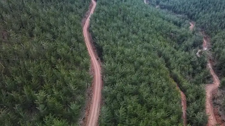 2022 yılı orman yangınları ile mücadele planı hazır