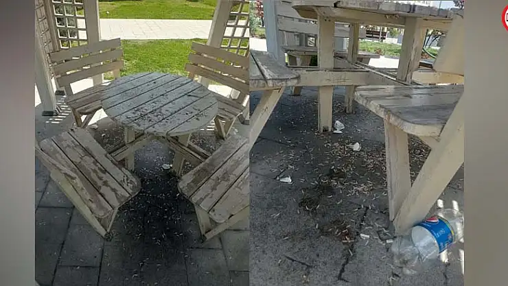 Baharın habercisi geldi!