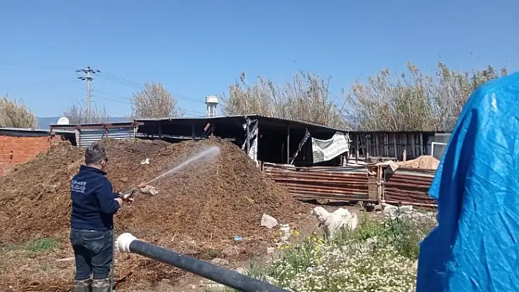 Burhaniye'de ilaçlama devam ediyor