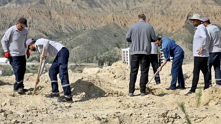 ÇAKÜ bin fidanı daha toprakla buluşturdu