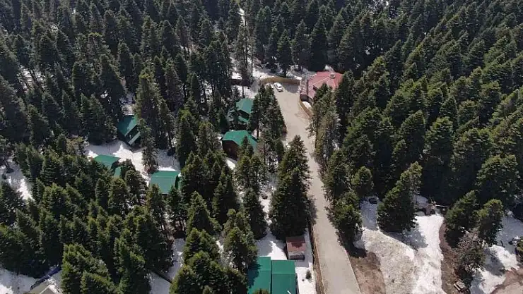 Uludağ'ın orman köşkleri bayram ve yaza hazır